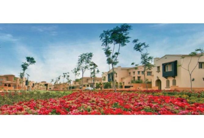 8334403 - Property Image 2