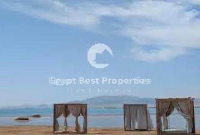 7916032 - صورة العقار 2