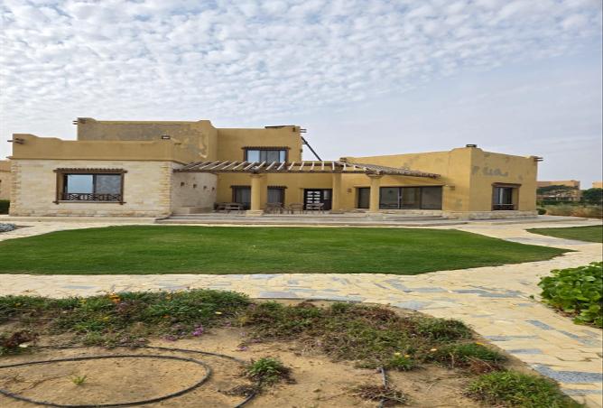 7930786 - صورة العقار 3