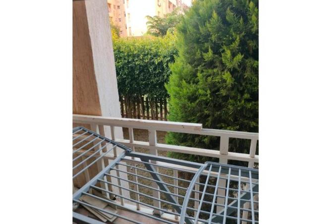 8046900 - صورة العقار 3