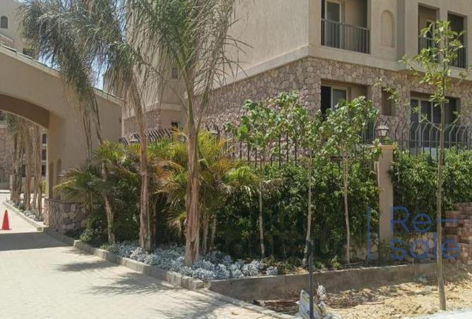 7913692 - Property Image 2