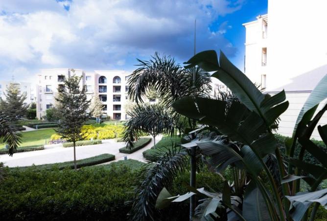 8440619 - Property Image 3