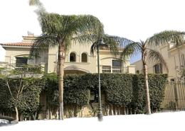 Villa - 6 bedrooms - 5 bathrooms for للبيع in Al Patio 4 - El Patio - El Shorouk Compounds - Shorouk City - Cairo Villa - 6 bedrooms - 5 bathrooms for للبيع in Al Patio 4 - El Patio - El Shorouk Compounds - Shorouk City - Cairo