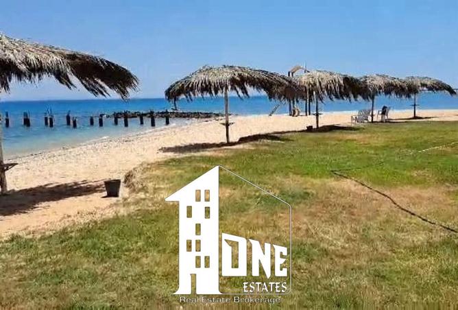 8288338 - صورة العقار 3