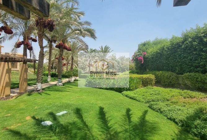 7900398 - صورة العقار 2