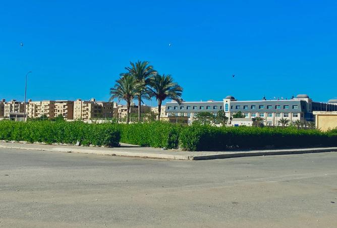 8147803 - صورة العقار 3