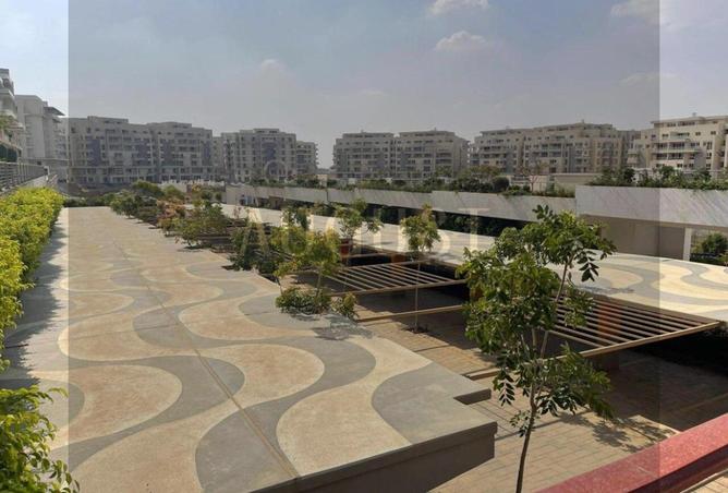 8120384 - صورة العقار 3