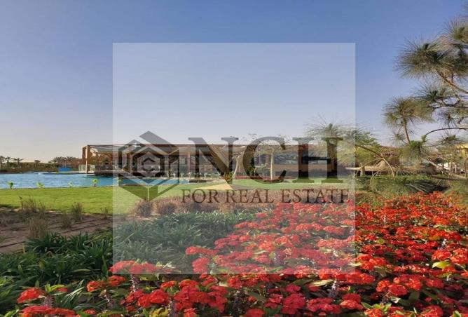 7895220 - صورة العقار 3