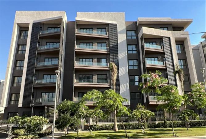 7992387 - صورة العقار 2