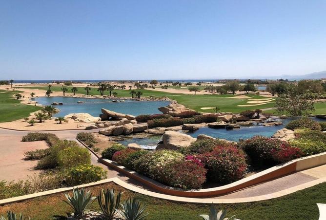 8549335 - Property Image 2