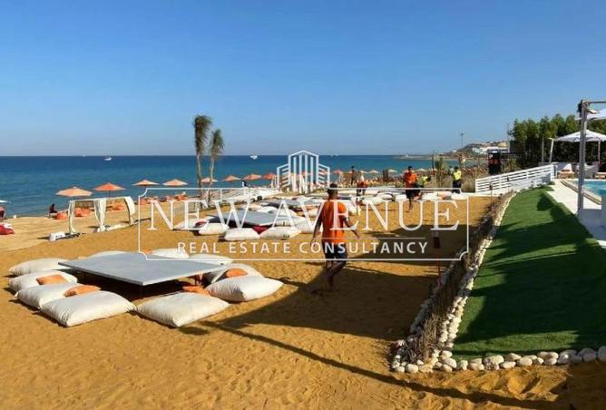 8357775 - Property Image 3