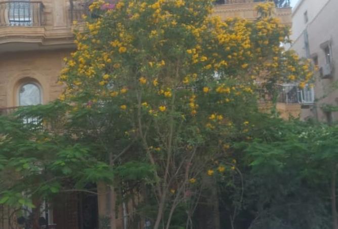 7963732 - الصورة الرئيسية للعقار