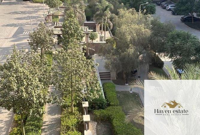 8356435 - Property Image 3