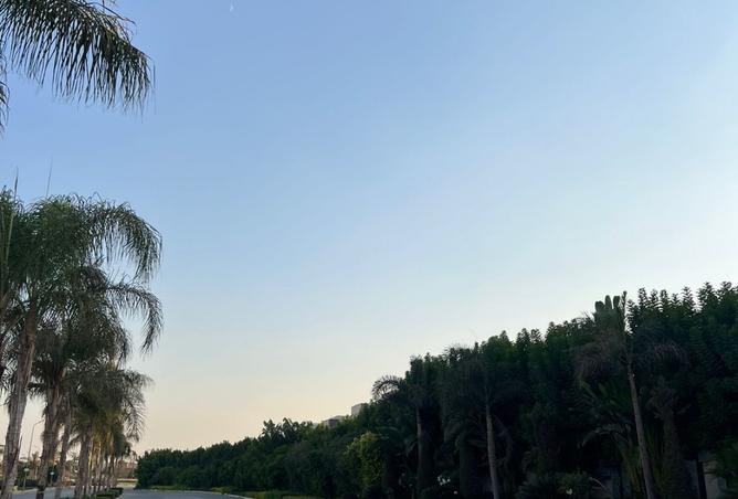 8464353 - Property Image 3