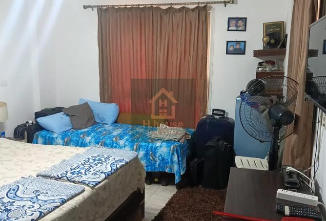 8167129 - Property Image 3