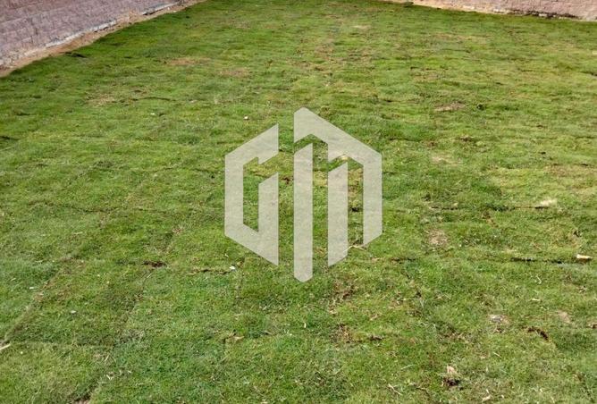 8357014 - صورة العقار 2