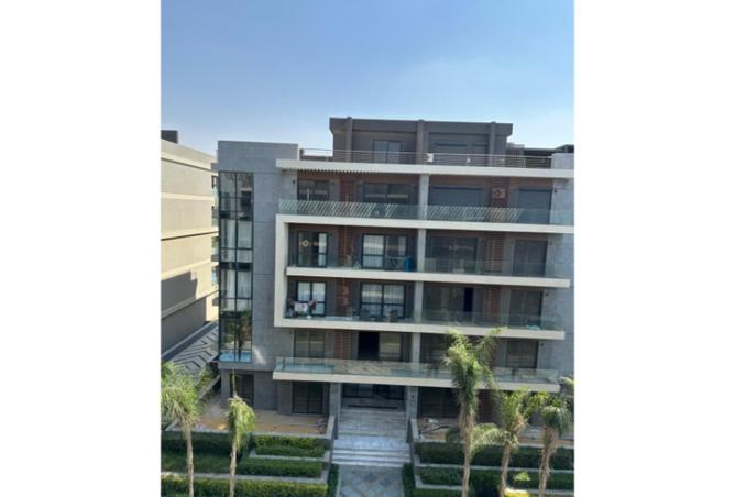 8216313 - Property Image 2