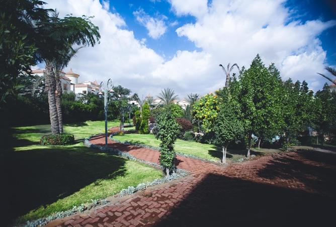 8558575 - Property Image 2