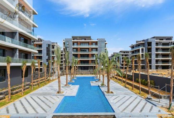 8356358 - Property Image 3