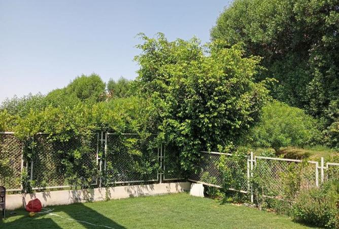 7896385 - الصورة الرئيسية للعقار