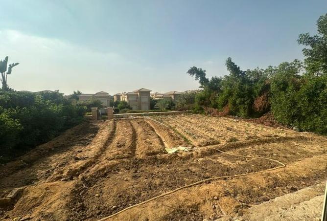 8122994 - Property Image 3