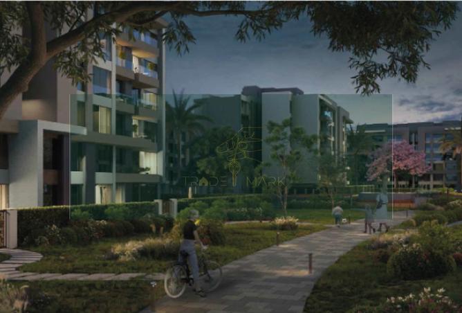 8192871 - Property Image 3