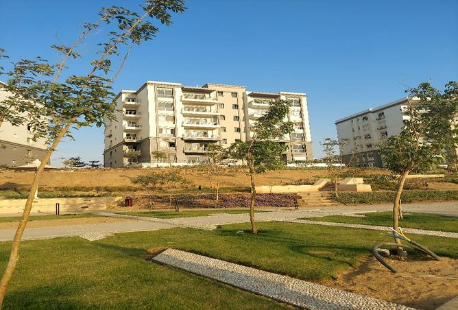 7994477 - صورة العقار 2