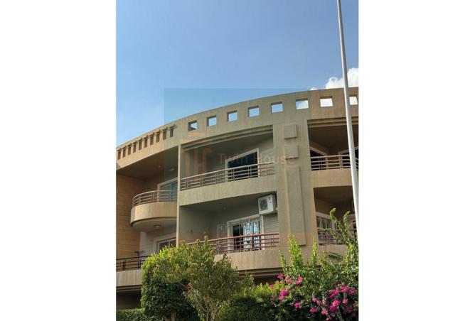 8025673 - Property Image 3