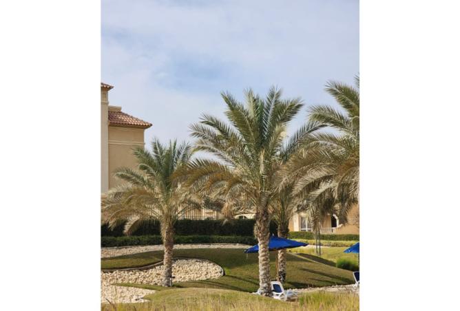 8247569 - صورة العقار 3