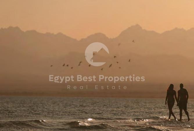 8239176 - صورة العقار 3