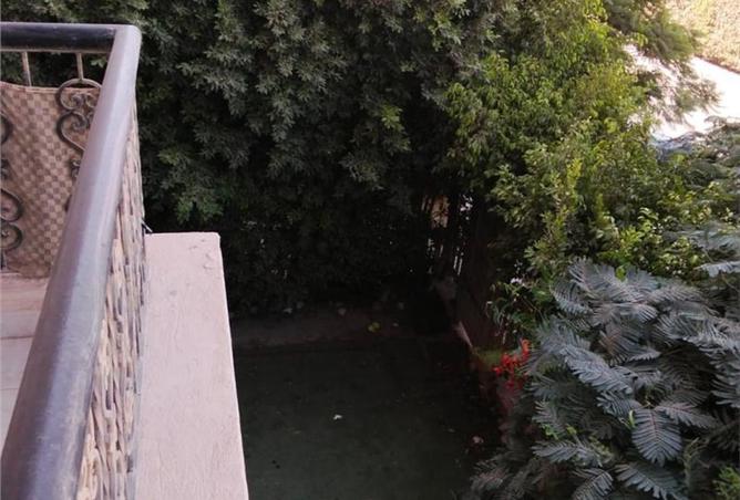 7950595 - الصورة الرئيسية للعقار