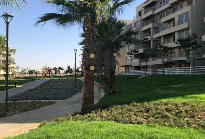 8217618 - Property Image 2