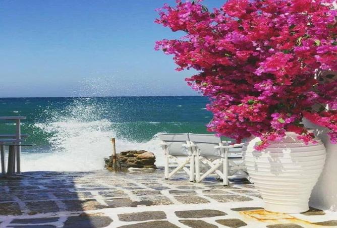 8071686 - صورة العقار 3