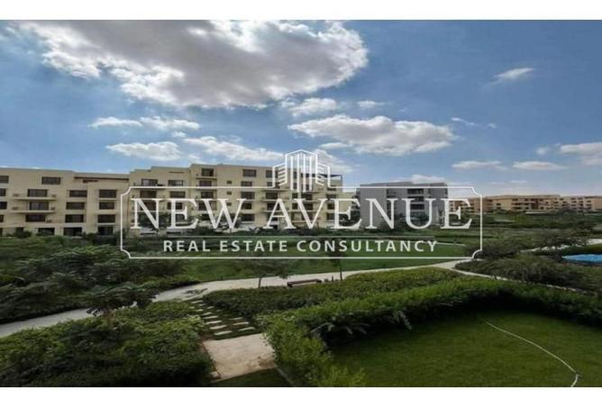 7934541 - Property Image 3