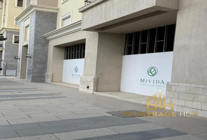 8244453 - Property Image 3