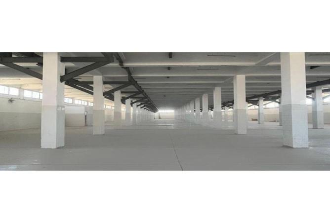 7932572 - Property Image 2