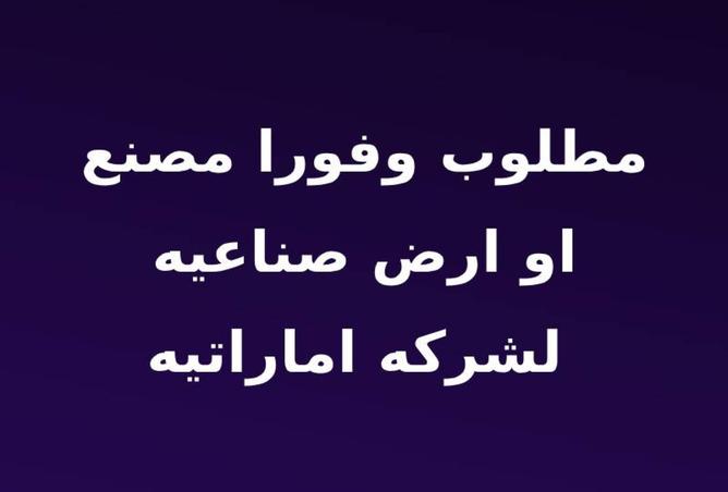 8187034 - الصورة الرئيسية للعقار