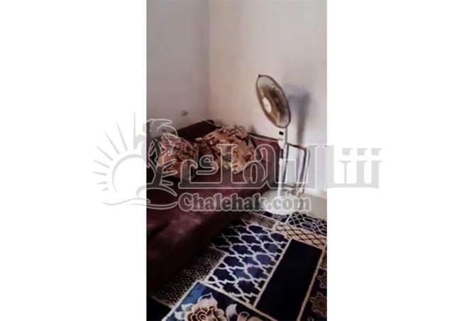 8248307 - Property Image 3