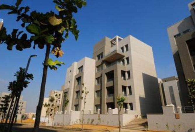 8010601 - Property Image 3