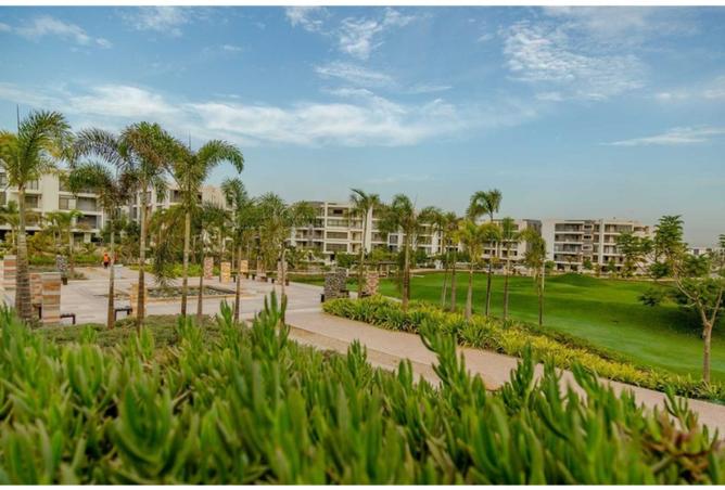 8252618 - Property Image 3