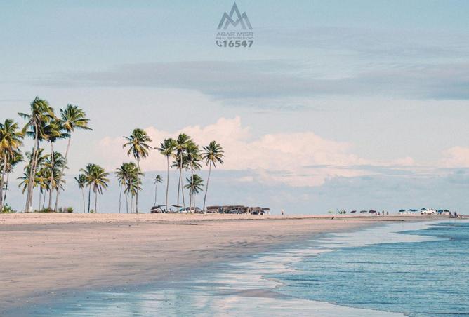 8259791 - Property Image 3