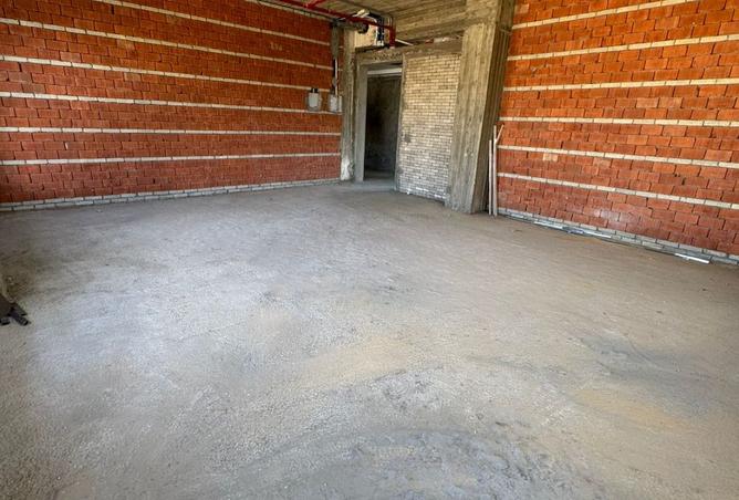 8126343 - Property Image 3
