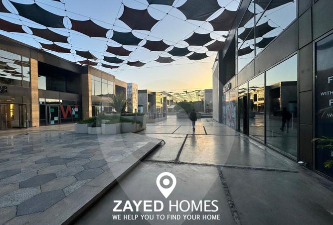 8337271 - Property Image 2