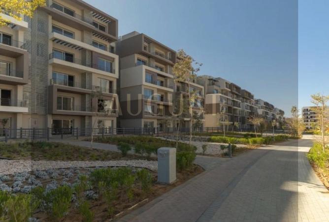 8136203 - Property Image 3