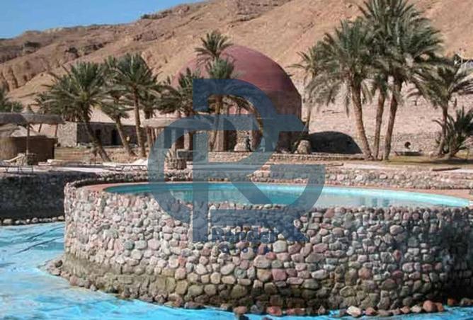 8351848 - صورة العقار 2