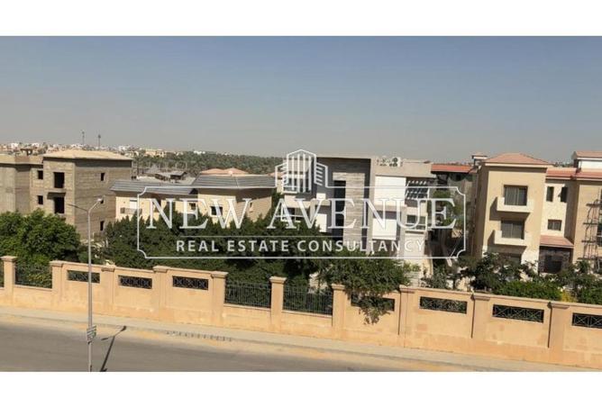 8098134 - Property Image 3