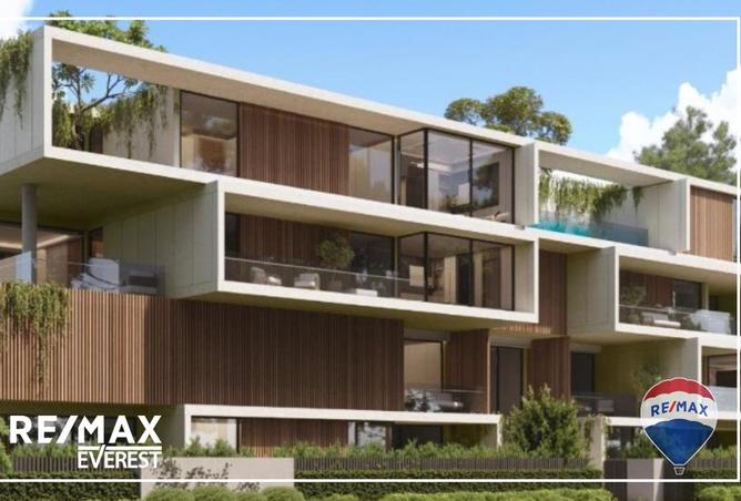 8135867 - Property Image 3