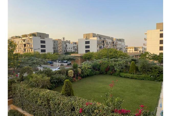 8159524 - Property Image 3