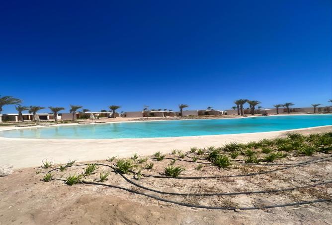 7971012 - صورة العقار 2