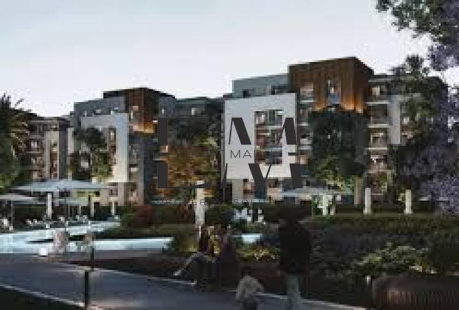 8016711 - Property Image 3